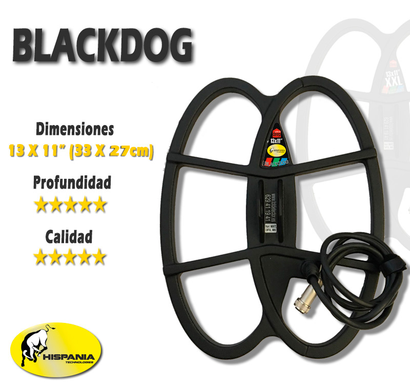 Plato Black Dog